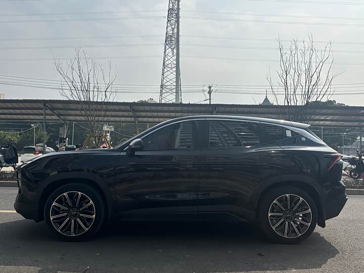 Фото 4 - Jetour Dashing