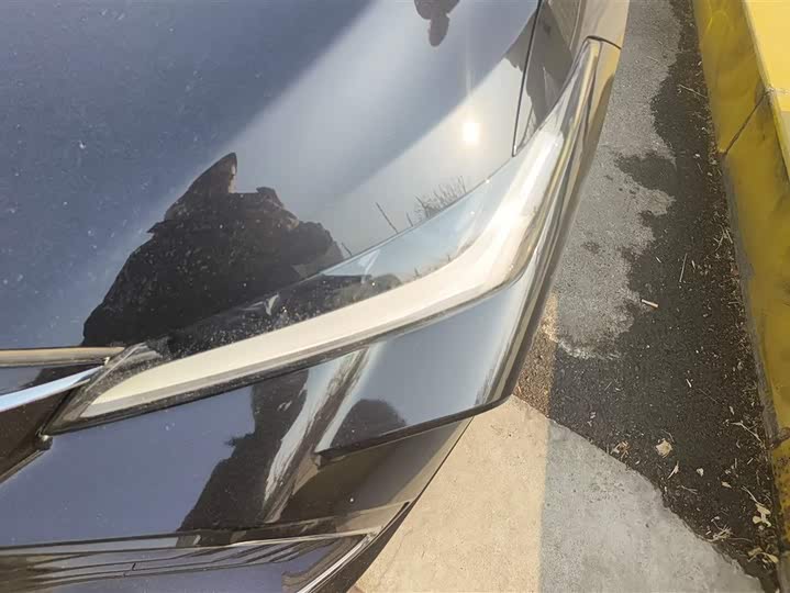 Фото 5 - Toyota Avalon