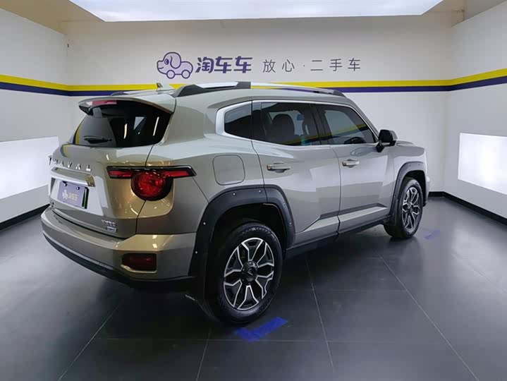 Фото 3 - Haval H-Dog Hybrid