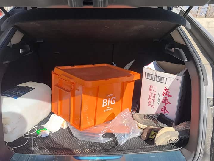 Фото 4 - Honda Avancier