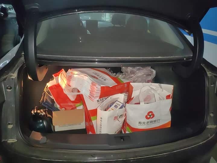 Фото 4 - Hongqi E-QM5