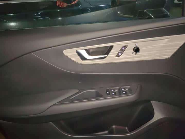 Фото 7 - Hongqi E-QM5