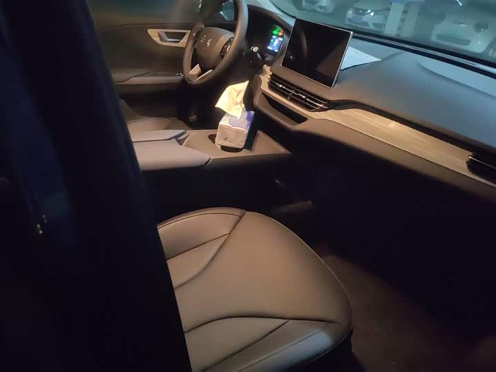 Фото 8 - Hongqi E-QM5