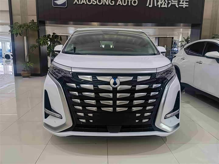 Фото 2 - Denza D9