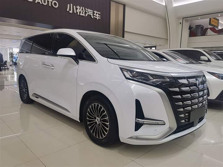 Фото 3 - Denza D9