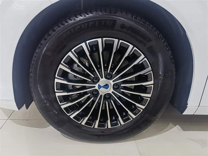 Фото 5 - Denza D9