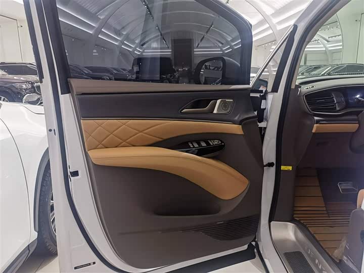 Фото 6 - Denza D9