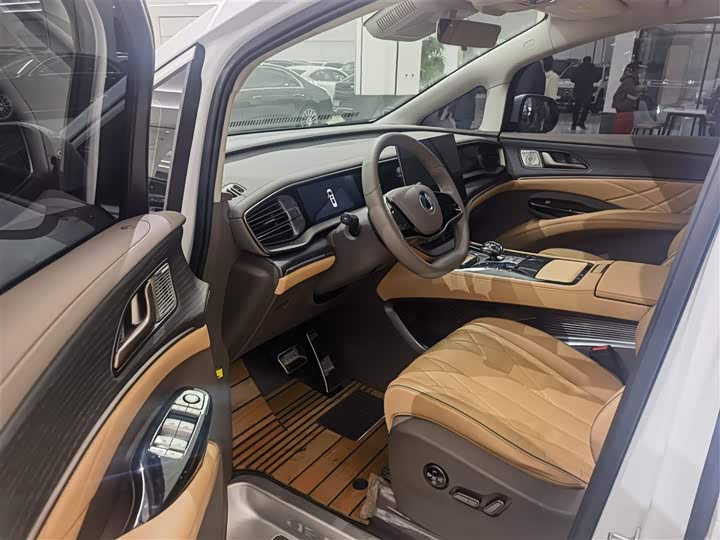 Фото 8 - Denza D9