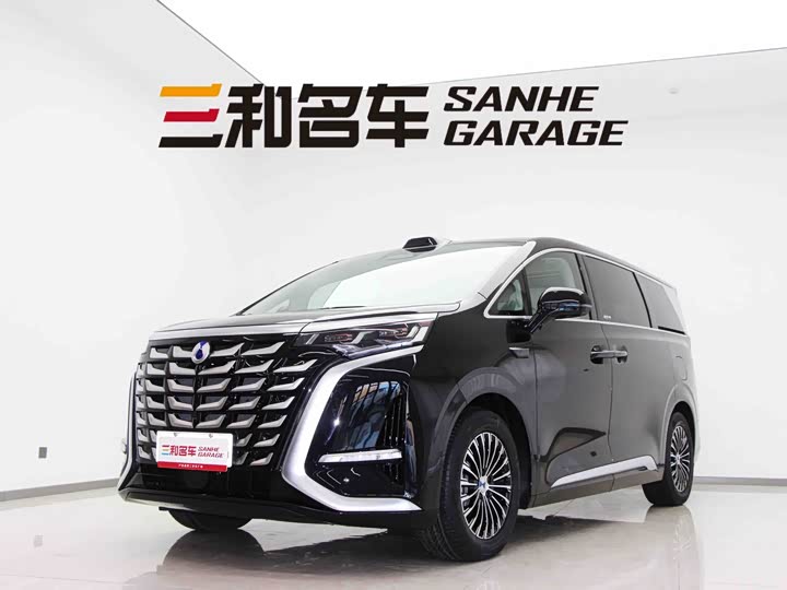 Фото 1 - Denza D9