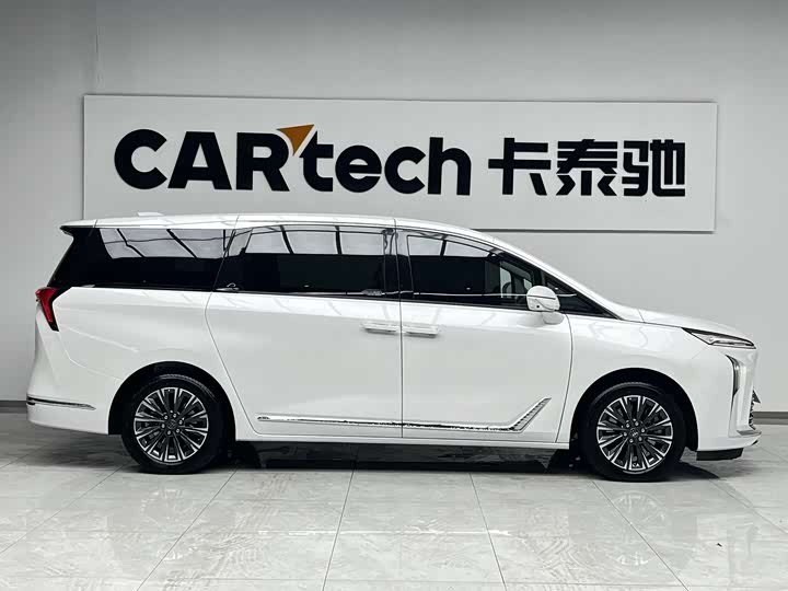 Фото 5 - Buick GL8 ES