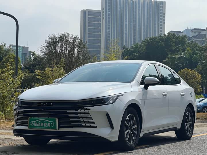 Фото 1 - BYD Destroyer 05