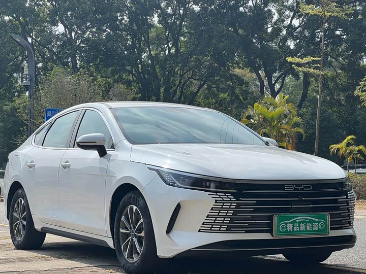 Фото 3 - BYD Destroyer 05