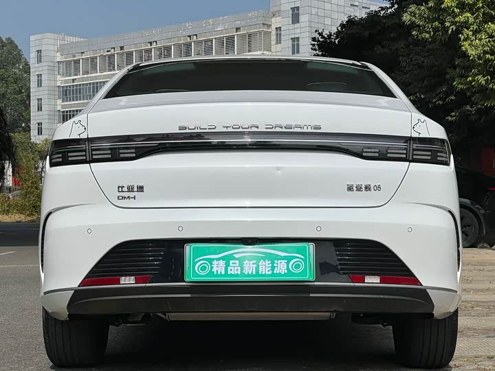 Фото 5 - BYD Destroyer 05