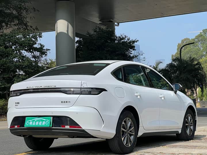 Фото 6 - BYD Destroyer 05