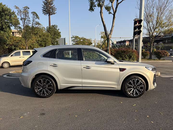 Фото 8 - Hongqi HS5