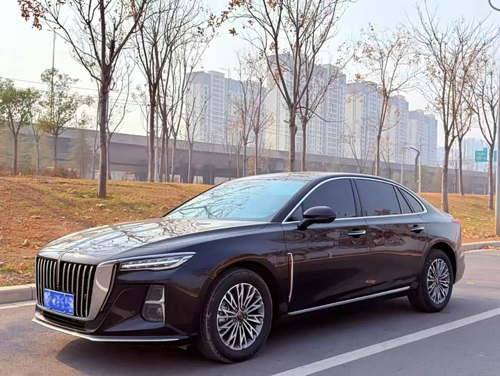 Фото 1 - Hongqi H5