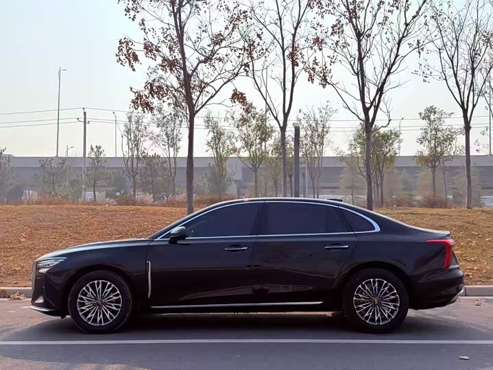 Фото 3 - Hongqi H5