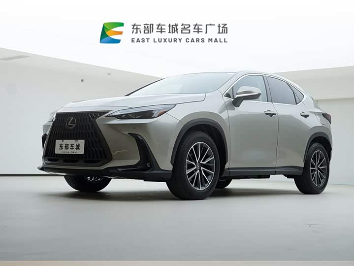 Фото 1 - Lexus NX