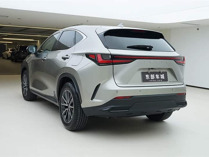 Фото 5 - Lexus NX