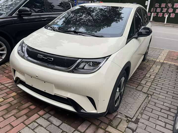 Фото 1 - BYD Dolphin