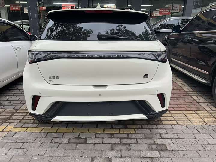 Фото 4 - BYD Dolphin