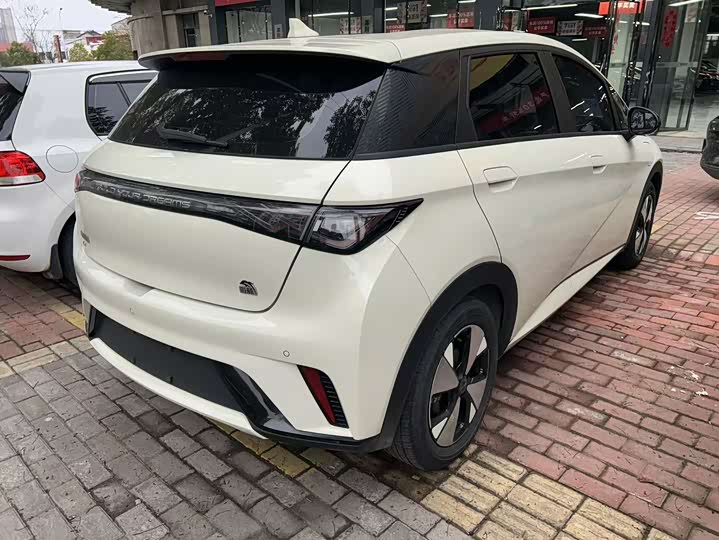 Фото 5 - BYD Dolphin