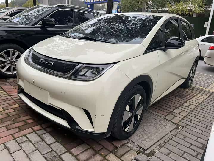 Фото 9 - BYD Dolphin