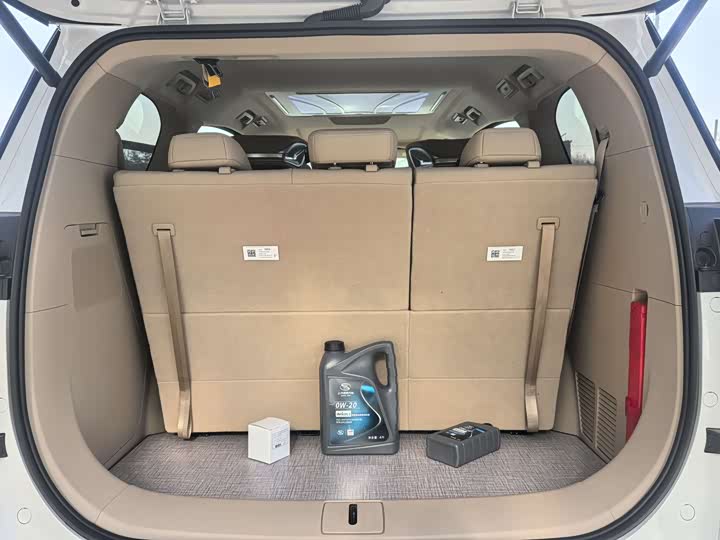 Фото 8 - Buick GL8 ES