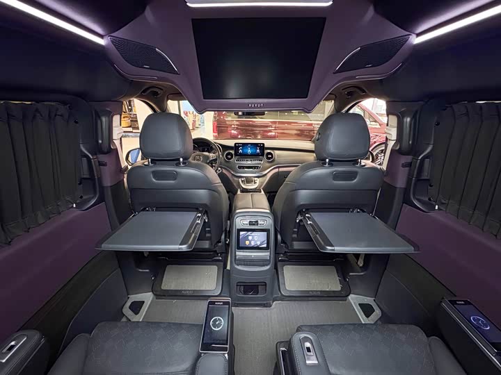 Mercedes-Benz V-Class 2022 2022款 V 260 L 长轴距豪华版