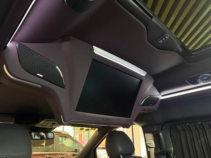 Mercedes-Benz V-Class 2022 2022款 V 260 L 长轴距豪华版