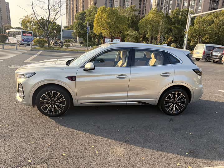 Фото 4 - Hongqi HS5