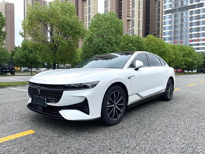 Фото 1 - Voyah Passion