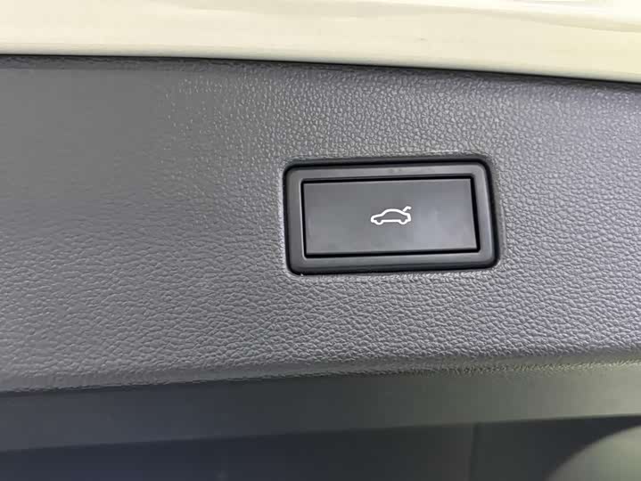 Фото 9 - Volkswagen Tiguan L Pro