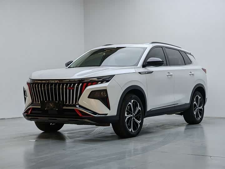 Фото 1 - Dongfeng Aeolus Haoji