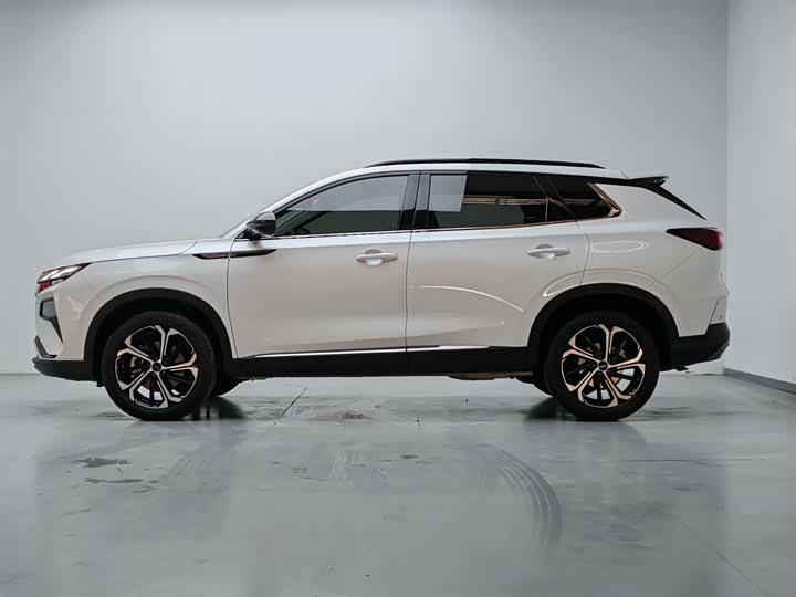 Фото 8 - Dongfeng Aeolus Haoji