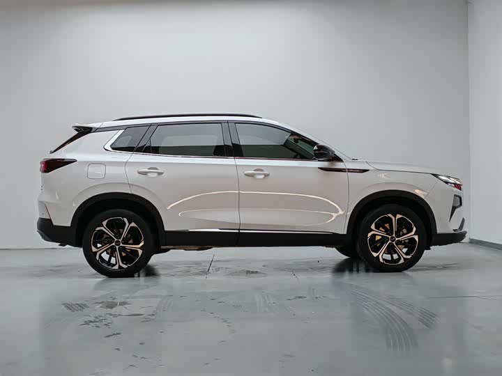 Фото 9 - Dongfeng Aeolus Haoji