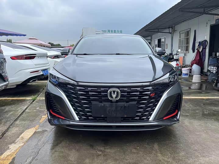 Фото 2 - Changan Eado Plus