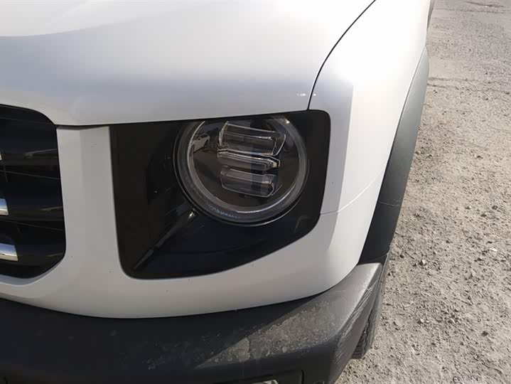 Фото 5 - Haval Dargo