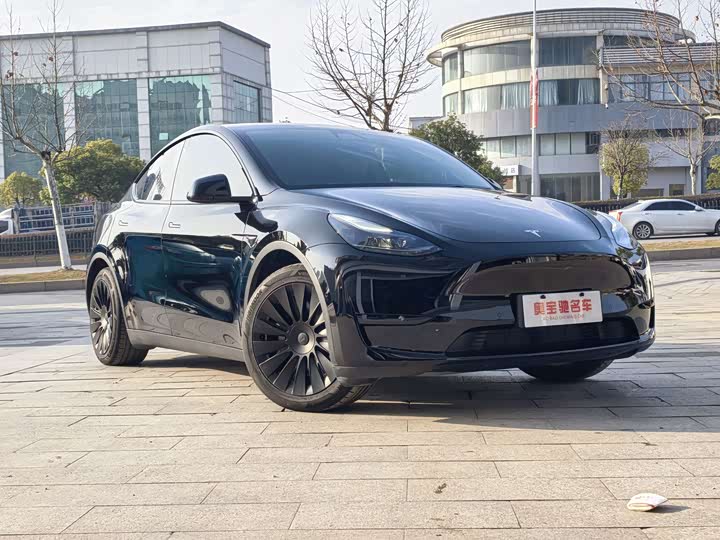 Фото 3 - Tesla Model Y