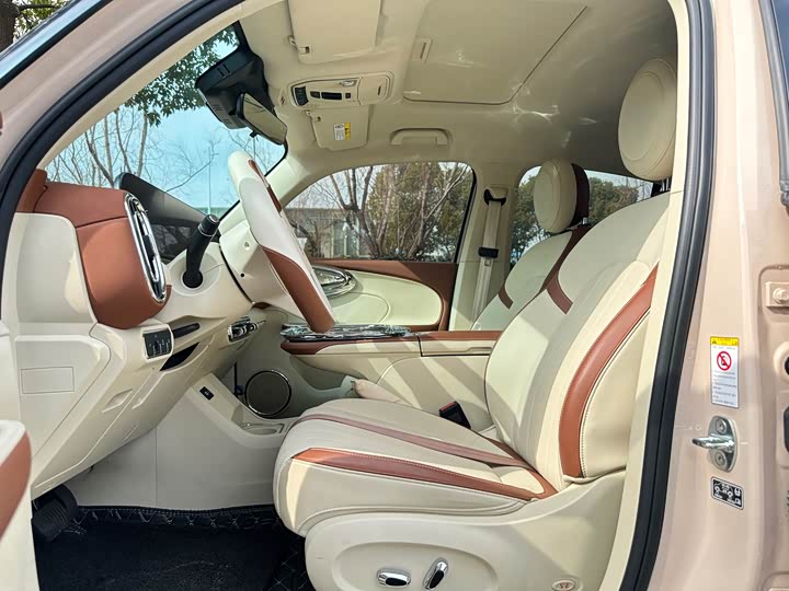 Фото 9 - Ora Ballet Cat