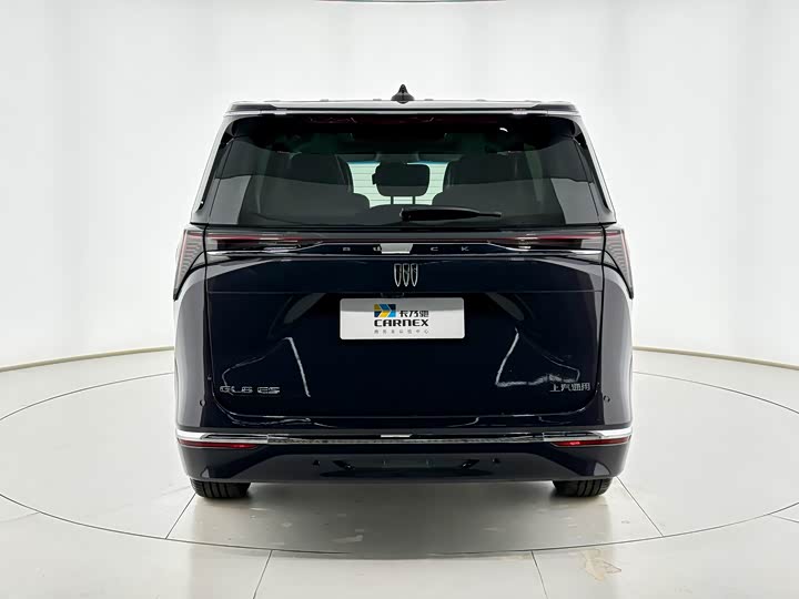 Фото 4 - Buick GL8 ES