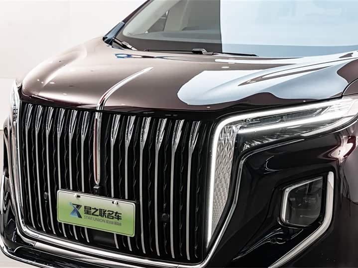 Фото 2 - Hongqi HQ9