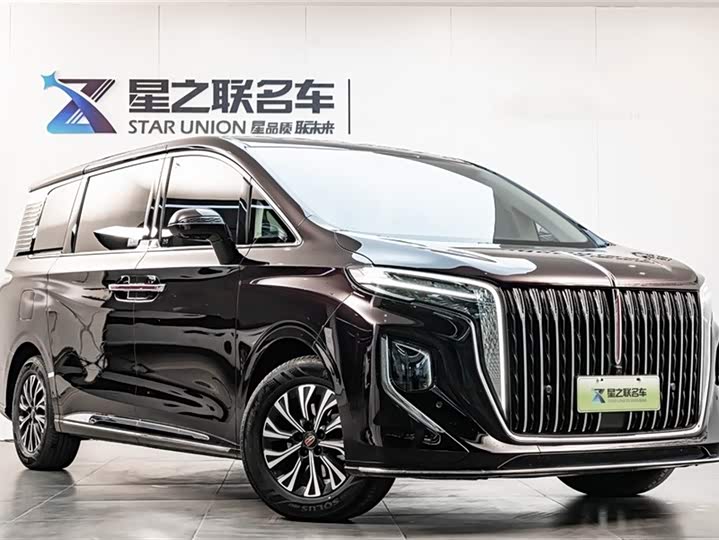 Фото 3 - Hongqi HQ9