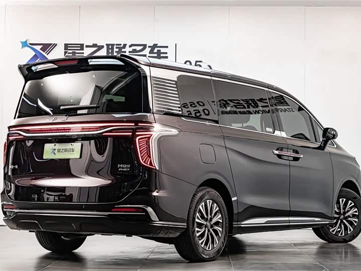 Фото 5 - Hongqi HQ9