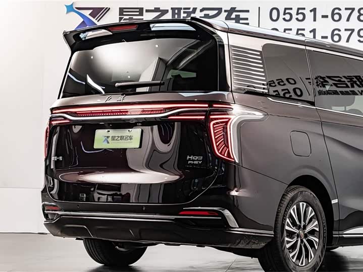 Фото 6 - Hongqi HQ9