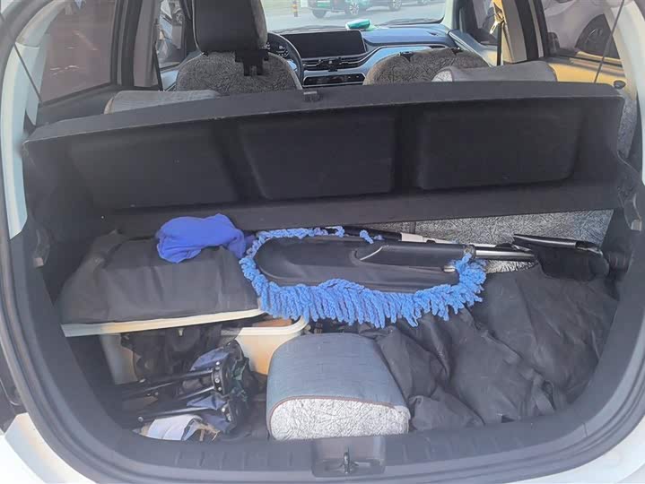 Фото 4 - Changan BenBen E-Star