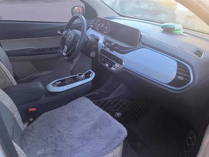 Фото 8 - Changan BenBen E-Star