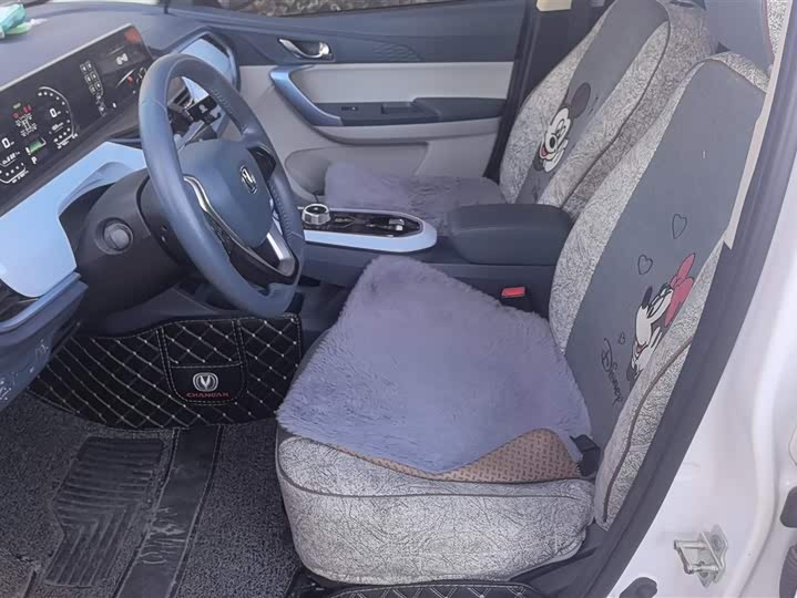 Фото 9 - Changan BenBen E-Star