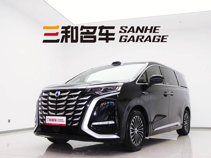 Фото 1 - Denza D9