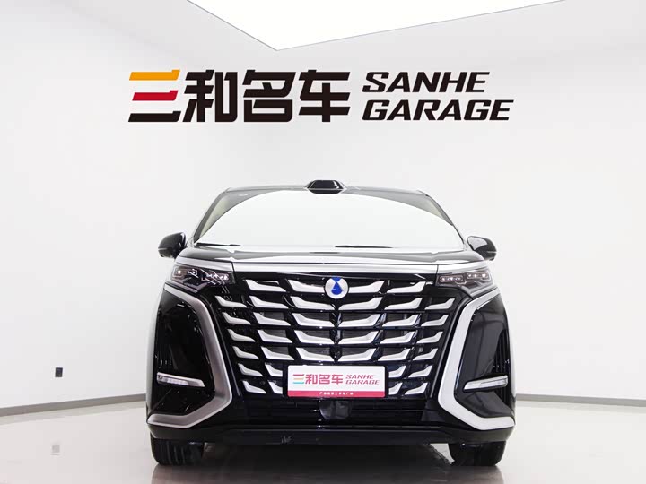 Фото 2 - Denza D9